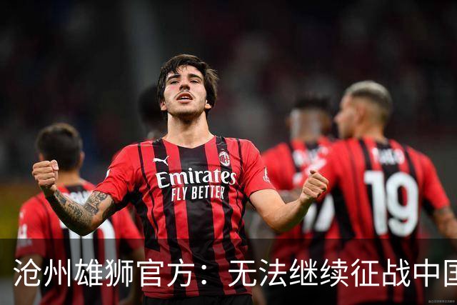沧州雄狮官方：无法继续征战中国足球职业联赛